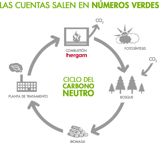 biomasa Ready EcoDesign